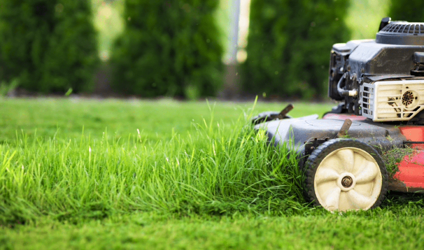MOWING SERVICES